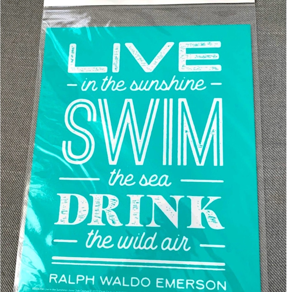 NIP Size B Live In The Sunshine, Swim In The Sea, Chalk Couture Transfer